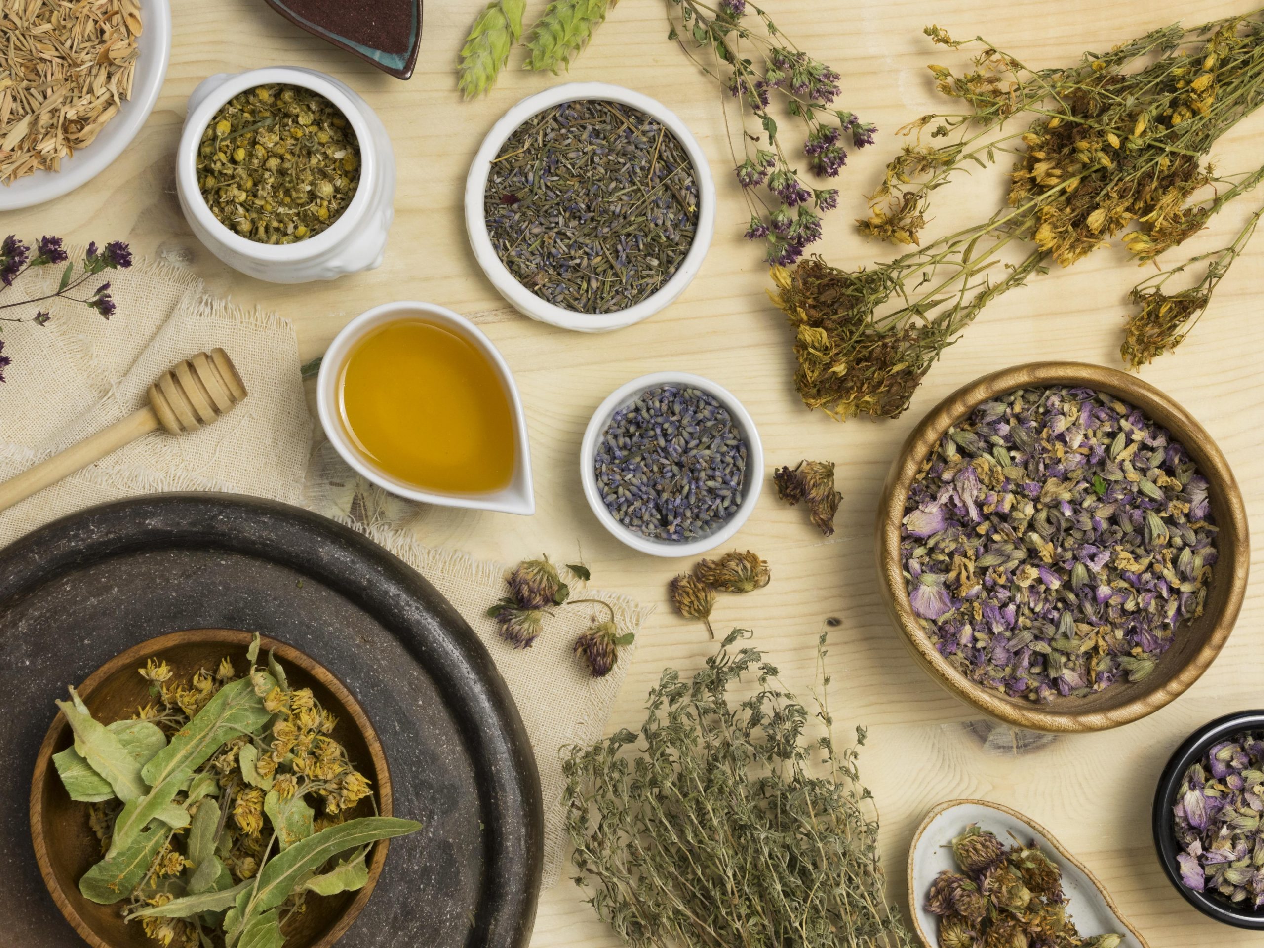 Plantas medicinales al por mayor