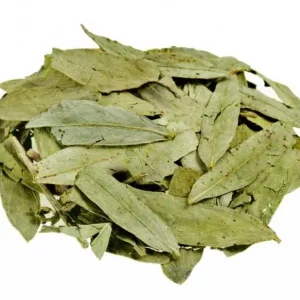 Sen (hoja)
