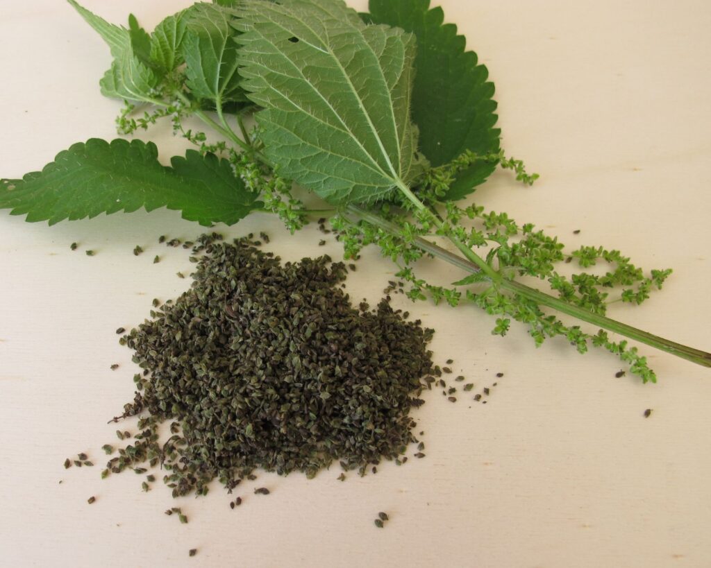 Propiedades de la ortiga verde