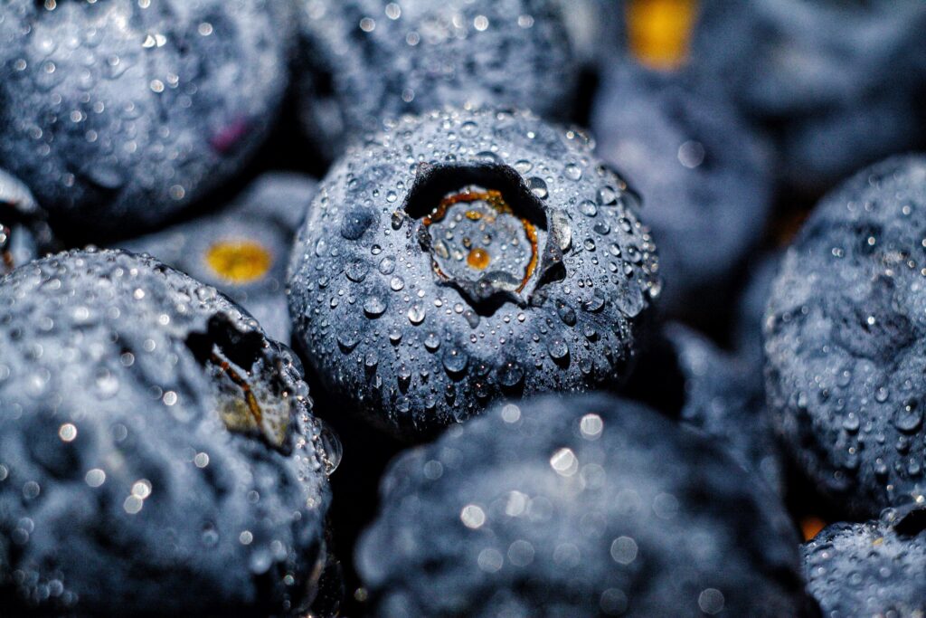 comprar arándanos ecológicos directamente al productor